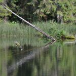 lac-bolatau-06-1200