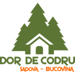 cropped-Logo-DDC-Corel21-patrat512.png
