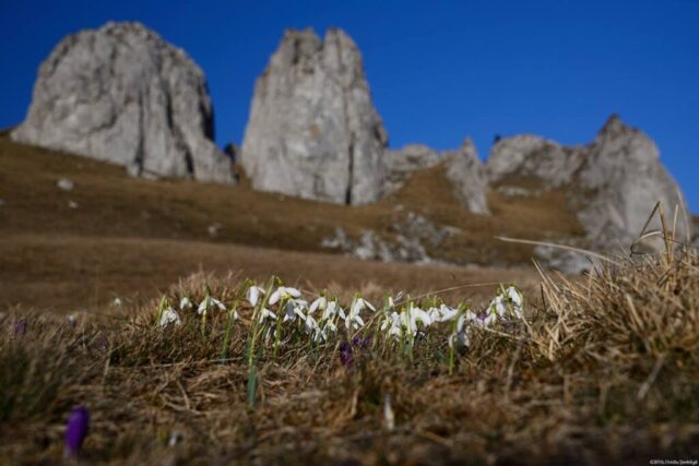Masivul Rarău © Ovidiu Ștefeligă